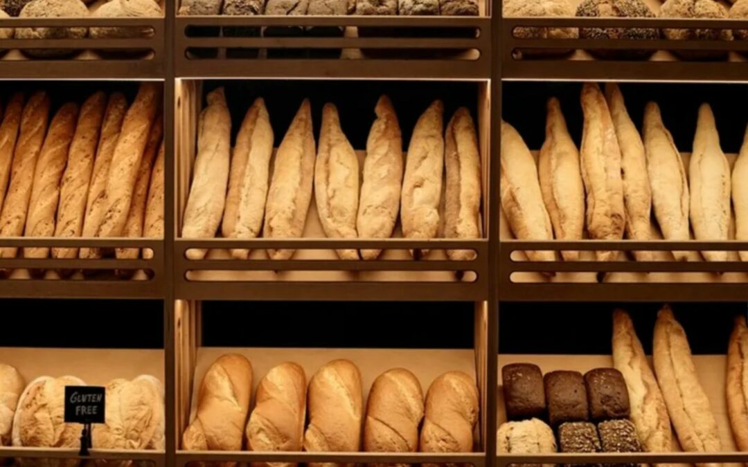 Bakery business for sale in Wide Bay Burnett Greater Region QLD